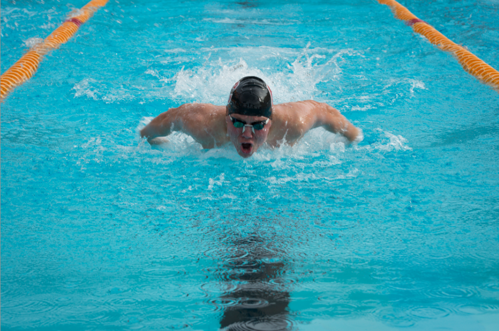 Anders Brekke (12) in a butterfly race, photo from Panther Swim Team Flickr