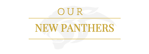 Our New Panthers!