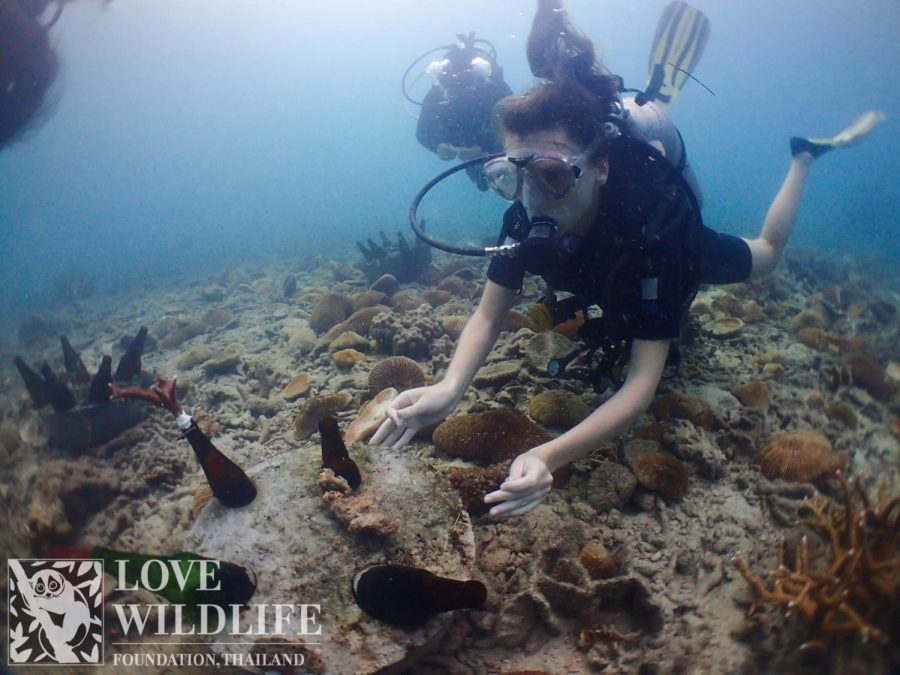 Saving the Ocean in Koh Tao