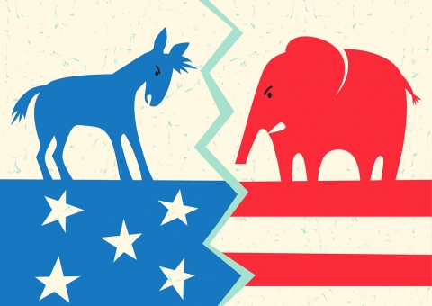 Political Divide in America: Looking from the Outside In