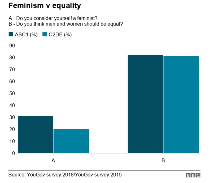 panthernation-feminism-defined