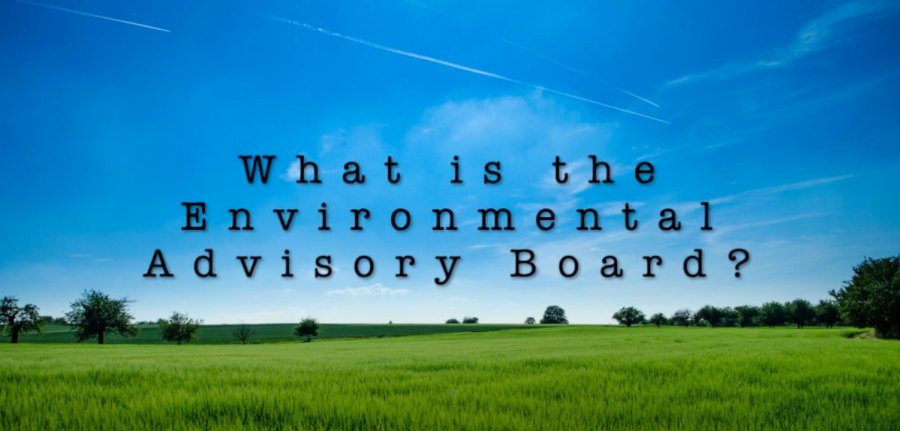 What is the Environmental Advisory Board?