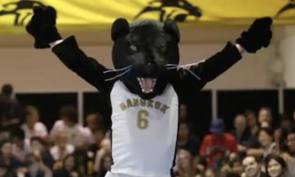 The History of Panther Spirit