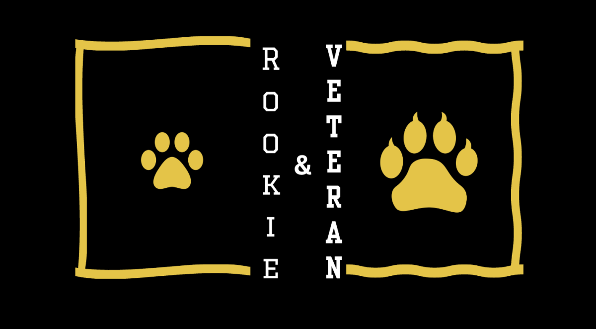 The Rookie and the Veteran (Men's Mental Health Club)