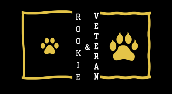 The Rookie and the Veteran (Men's Mental Health Club)
